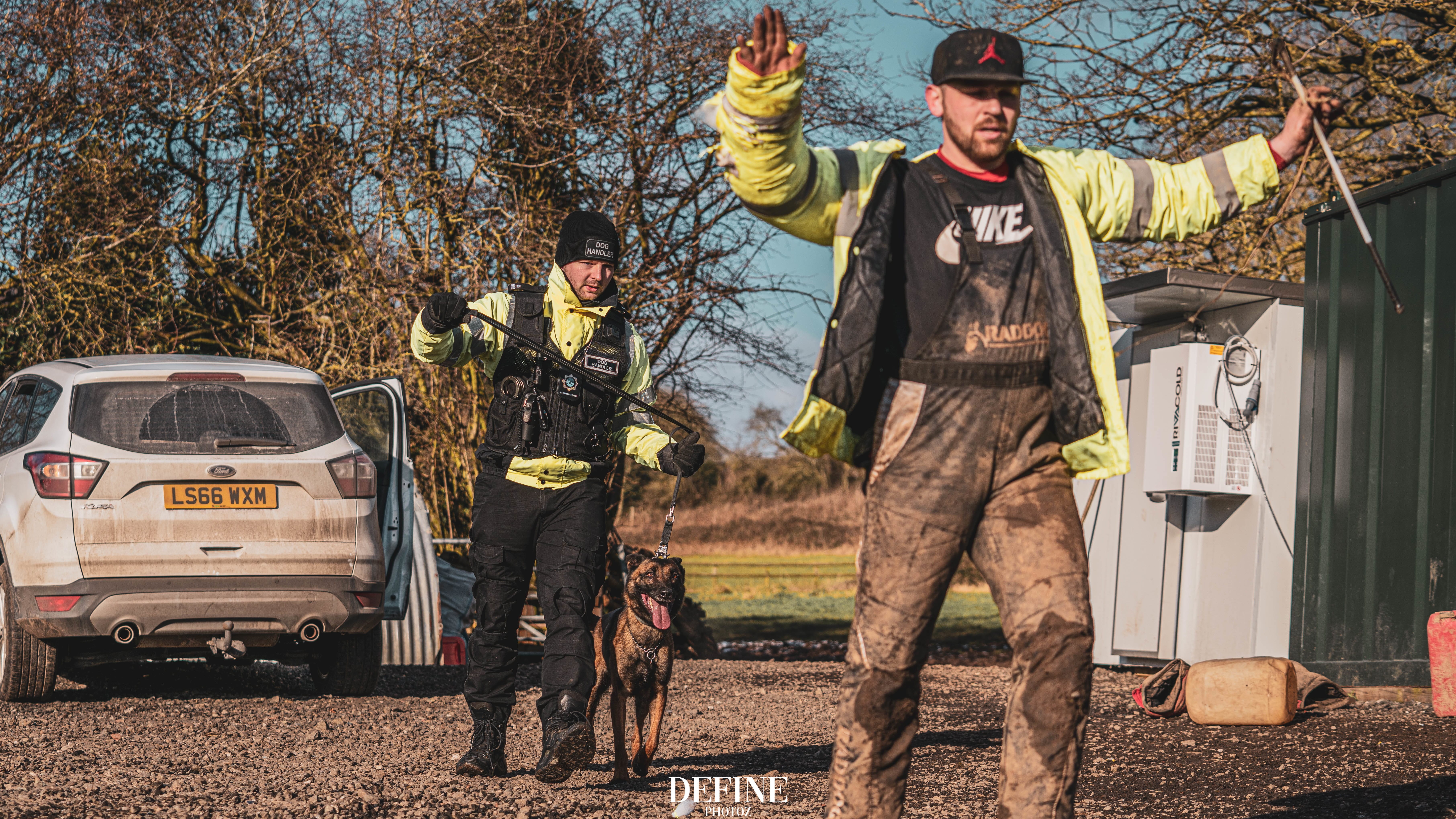 Private residential security dog handler with working dog on open grounds