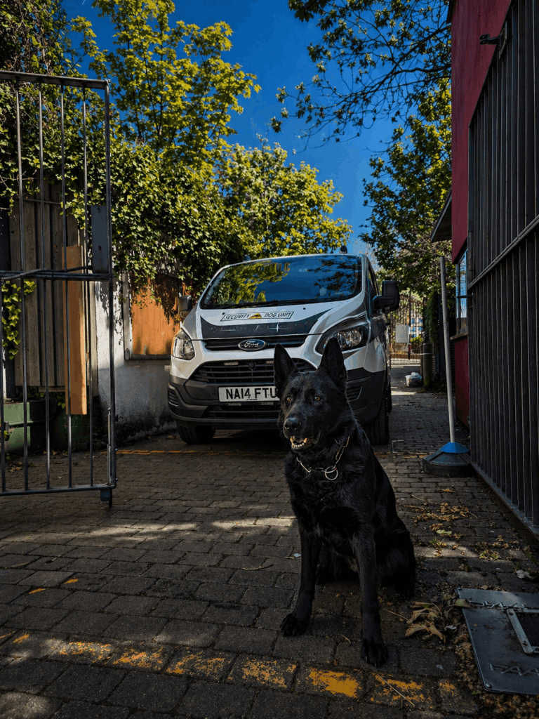 Security dog unit at a gated property entrance