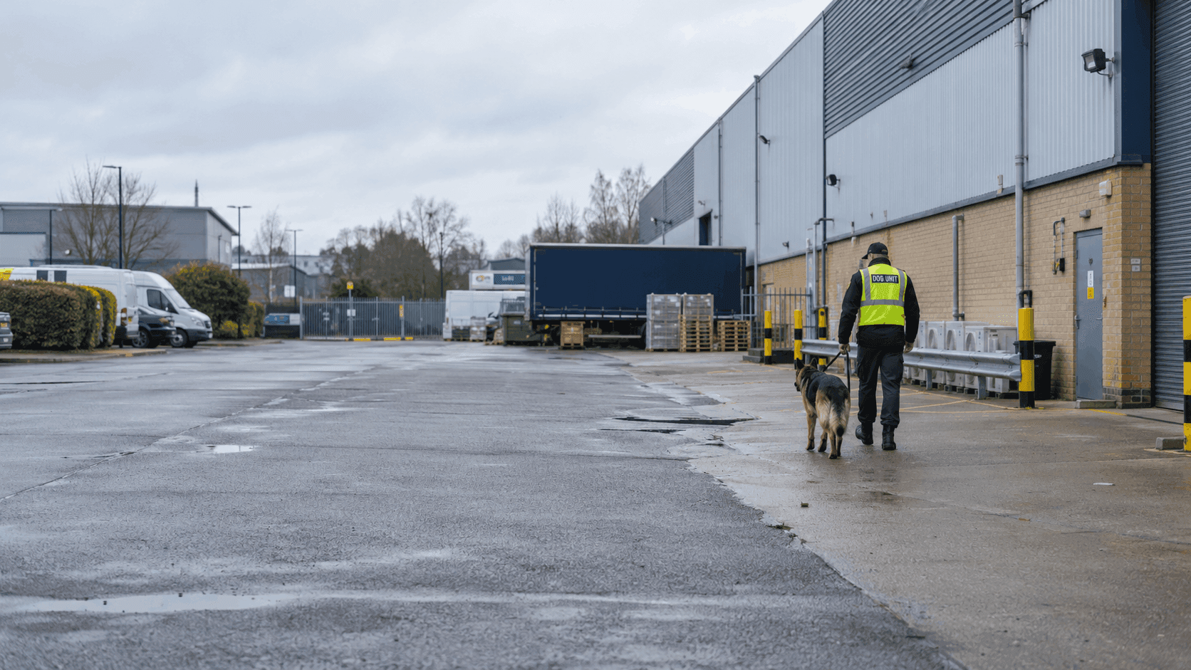 Security dog handler in Reading walking a German Shepherd on a lead through an industrial estate.
